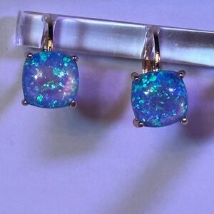 Earrings Leverback with Blue Moonstones NEW